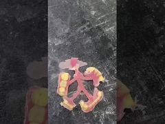 दांतों के प्रतिस्थापन में आराम और स्थायित्व के लिए नेस्बिट लचीला आंशिक प्रोटेक्ट